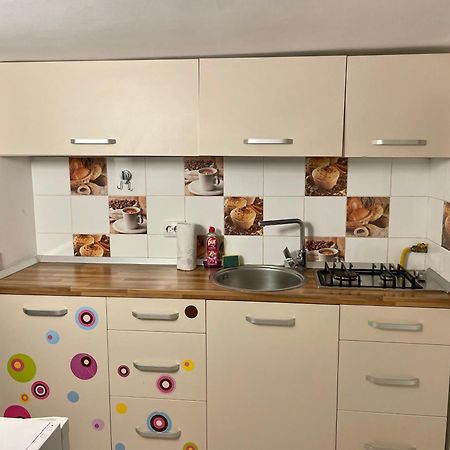 Tampa Residence Брашов Екстер'єр фото
