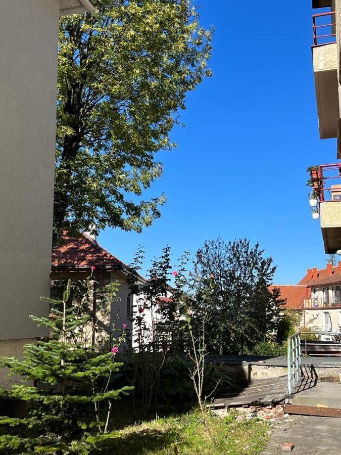 Tampa Residence Брашов Екстер'єр фото